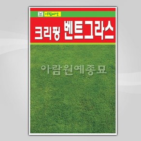 슬로시 슬로시 벤트그라스 씨앗 20g 야외 골프장 잔디씨, 1개