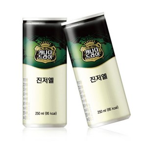 캐나다 드라이 진저에일 250ml x 12입, 12개