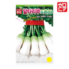 김장채소 씨앗 모음 무 배추 시래기 알타리 종자, 도촌89알타리무 20g, 1개