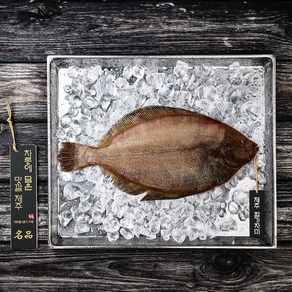 제주도 가자미 (세척손질/제주직송), 1개, 1kg (2마리)