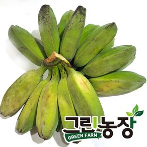 그린 사바 바나나(geen saba banana) 그린농장, 6kg, 1개