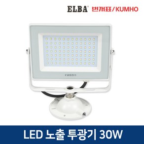 금호번개표 엘바 LED 노출 투광기 50W 간판등 야외조명 방수, 1개, 주광색(형광등색), 블랙