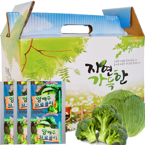 양배추브로콜리즙 1박스55포 [ 2박스구매시+20포증정(총130포) ], 55개, 100ml