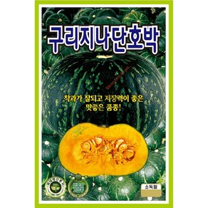 구리지나단호박 10립 24년 단호박씨앗 호박종자, 1개