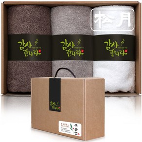 송월타올 오브제 150g x 3p 수건선물세트 돌 환갑 칠순 팔순 구순 회사 교회 학교 기업 행사 조문 개업 결혼 호텔답례품, B (진갈색+연갈색+백색), 1세트