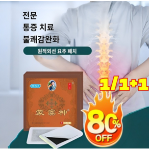 1/1+1 몽오신 원적외선 요추파스 통증 패치, 10매