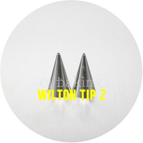 WILTON TIP 윌튼팁2