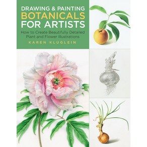 Dawing and Painting Botanicals fo Atists: How to Ceate Beautifully Detailed Plant and Flowe Ill... Papeback, Rockpot Publishes