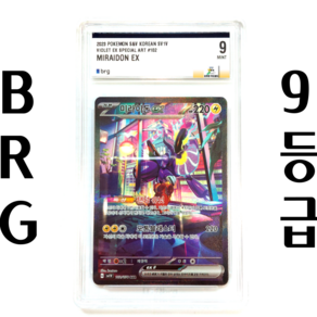 포켓몬카드 미라이돈ex SAR sv1V BRG 9등급 (등급카드), 1개