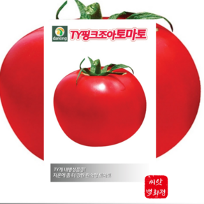 TY핑크조아토마토씨앗10립 다농, 1개