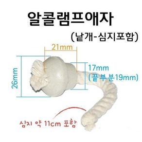 ARI)알콜램프애자