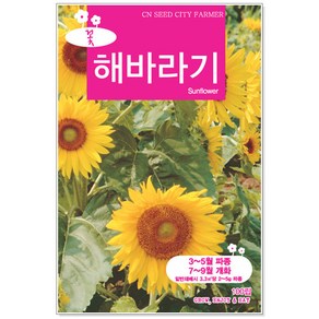 중포장꽃씨 해바라기 100립, 1개