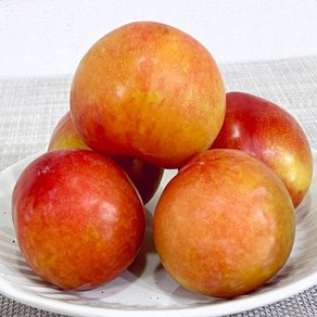 [프롬신선] 새콤달콤 경북 자두 산지직송, 1박스, 노지자두 1kg (소과)