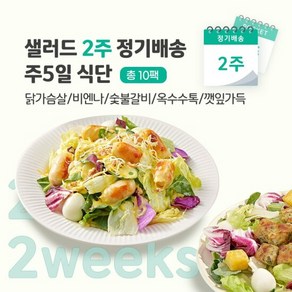 샐러드 2주 정기배송 주5일 (닭+비엔나+숯불+옥수수+깻잎), 245g, 10개