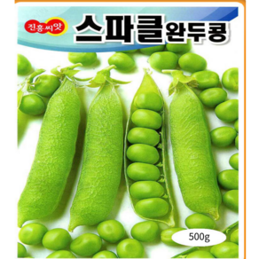 덩쿨없는 다수확 조생종 완두콩씨앗 500g 스파클 내한성 품종, 1개