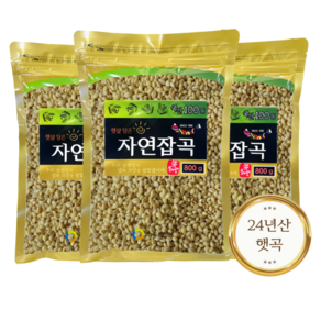 국산 찰보리쌀 2.4kg, 3개, 800g