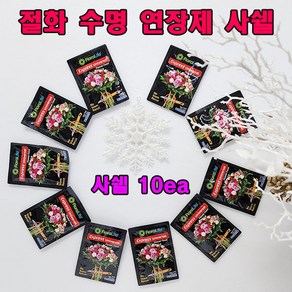 (샤인) 플로라라이프 (절화수명 연장제) 사쉘 5ml x10ea 무료배송/꽃의 생기를 오래동안 보존/100배 고농축, 10개