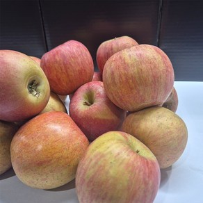 경북 의성 꼬맹이 못난이 사과 부사 흠과 고당도, 1개, 2.5kg