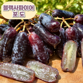 [항공직송] 프리미엄 고당도 블랙사파이어 포도, 1개, 2kg 내외