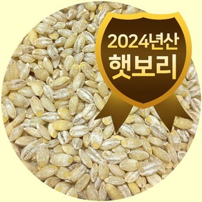 2024년산 늘보리 1kg 햇보리 100% 국내산 보리밥 보리쌀, 1개