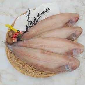 부산 반건조 생선 서대 박대 반찬용 제수용 조림용, 중3~4마리(30~33cm/400g내외), 1개