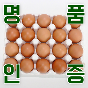 KB farm 계란 명품인증 무항생제 달걀 특란 20구