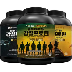 단호한결심 강철부대 강철프로틴 3종, 2kg, 1개, 강철프로틴 WPI