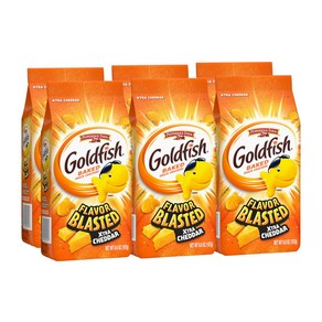 Goldfish Flavor Blasted Xtra Cheddar Cheese Crackers Baked Snack Crackers 6.6 oz Bag (Pack of 6) 금