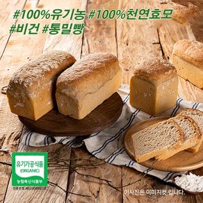 도현당 유기농우리밀100%통밀빵 비건무설탕 죽염빵 550g