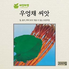 아람종묘 우엉채 씨앗 200립, 1개