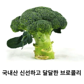 국내산 신선하고 달달한 브로콜리 2kg 4kg 8kg 국산 햇 브로콜리 송이 샐러드 식자재 다이어트 그린 채소 슈퍼푸드, 1개