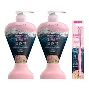 LG 생활건강 히말라야핑크솔트 펌핑치약 플로럴민드 285gx2개+칫솔 1입, 2개, 285g