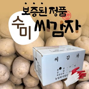 강원도 정품 수미 씨감자 4kg 10kg 20kg 보증종자, 20k, 1박스