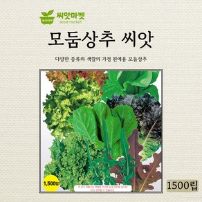 아시아종묘 모둠 상추 씨앗 1500립, 1개