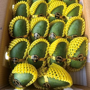[아이브릭스]베트남 그린망고 베이비 망고(Vietnam Baby mango) 새콤달콤 아삭이 망고, 1박스, 5kg