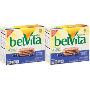 벨비타 belVita 아침 비스킷 블루베리 250g 2개