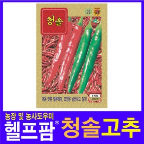 헬프팜 청솔고추 300립 고추씨 씨앗 종자 KS종묘, 1개