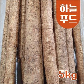 (5kg/Box) 수입 우엉 식자재, 1개