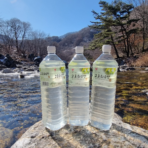 지리산사람들 고로쇠 수액 고로쇠물, 3개, 1.5L