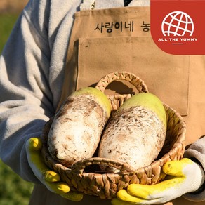 [올더야미] 산지직송 제주 유기농 비세척 월동무 3kg(2-3개 내외)개당(1.3kg내외), 1개, 단품