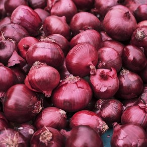 24년 아삭한 적양파 무안양파 자색양파 Red Onion, 1박스, 3kg