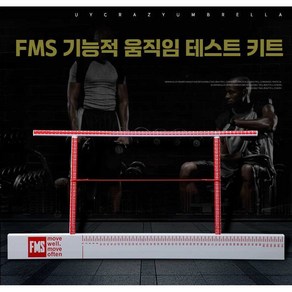 FMS 운동 훈련 스포츠 운동테스트 측정기 민첩성 평가, 플라스틱 저장 센티미터 버전, 고급 FMS, 1개