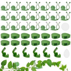 식물 등반 용 식물 클립 40 개 식물 클립 벽 식물 클립 자체 접착 식물 벽 등반 식물 식물 고정 지지대 용 벽 고정 (녹색)