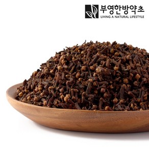 부영한방약초 정향 향신료 정향차 클로브, 500g, 1개