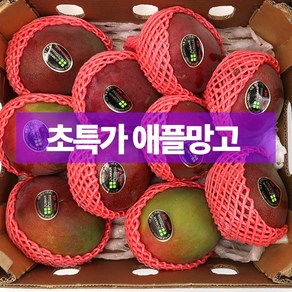 도매특가 일등농수산 직수입 애플망고, 1개, 1KG (2~3입)