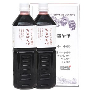 복분자 진액 원액 즙 1L [고창동막골농장], 2개