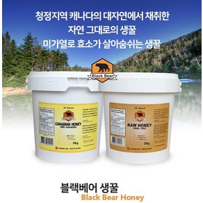 블랙베어 꿀 캐나다 프리미엄 허니 생꿀 3KG 직배송