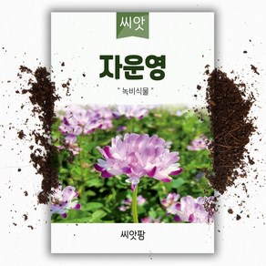 씨앗팜 야생화 꽃씨 자운영 종자 씨앗 (400립) 연화초 홍화채 쇄미재 콩과 두해살이 이년생, 1개