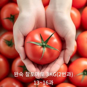 [신선보장] 아침에 따서 그날 보내는 완숙토마토, 2번과, 3개, 3kg