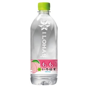 이로하스 천연수 복숭아 540ml 페트병음료